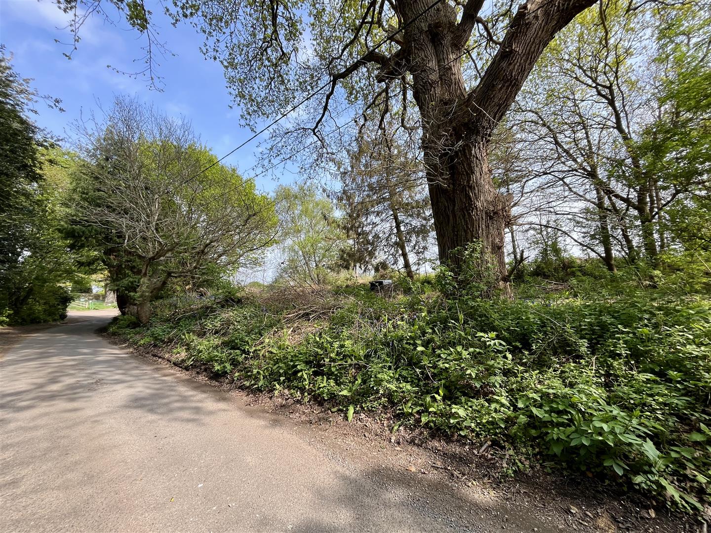 Church Lane, Guestling
